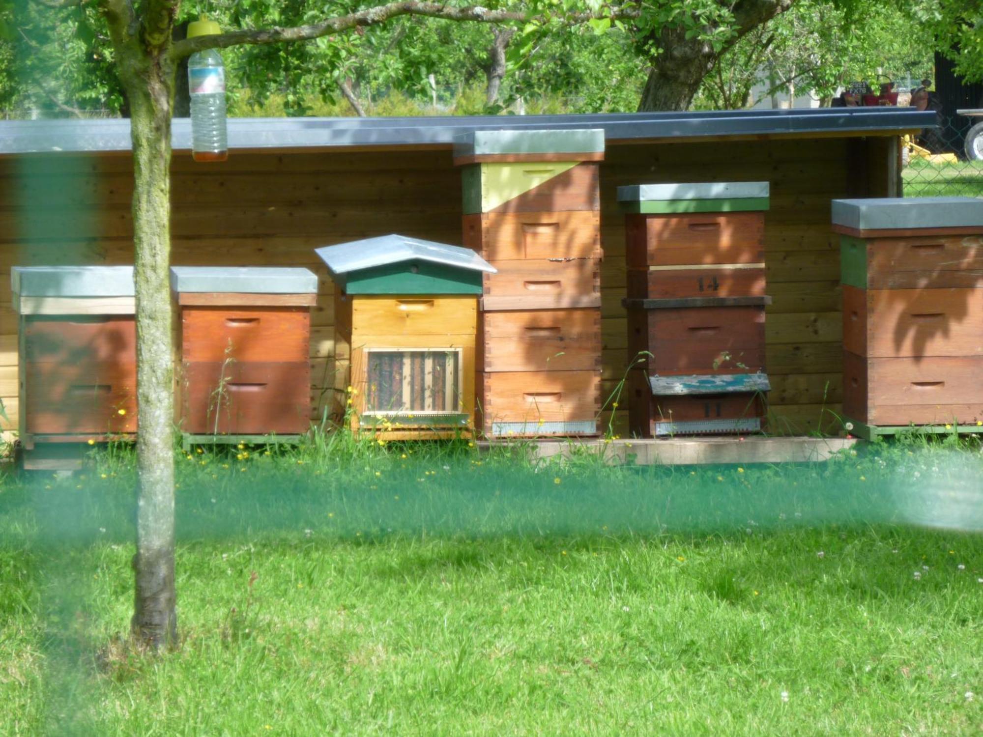 Chambre D'Hotes Au Fil De L'Eau Jumieges Exterior photo